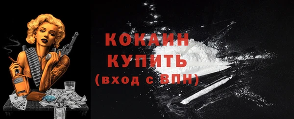 соль ск Лагань