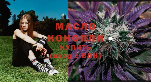 spice Богородицк